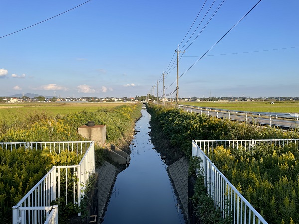 豊田排水路